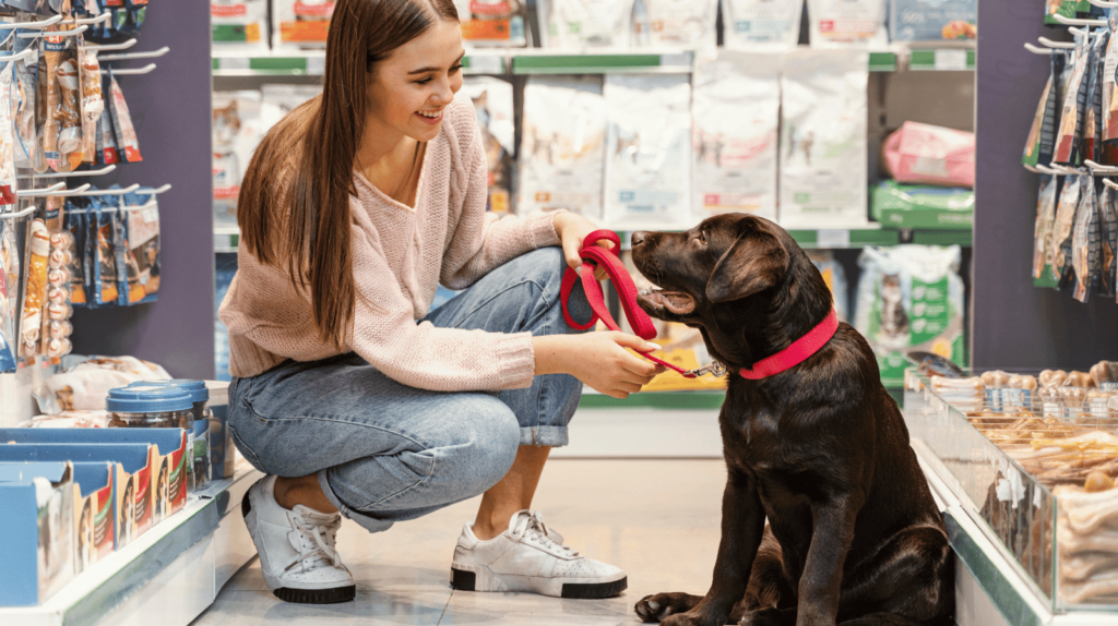 Marketing digital para Pet Shop